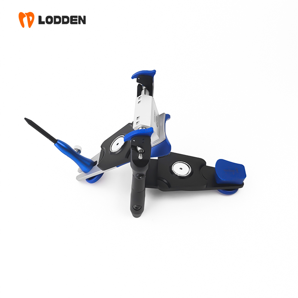 LODDEN BN Value Articulator Mi - Medical Lab Values review and price
