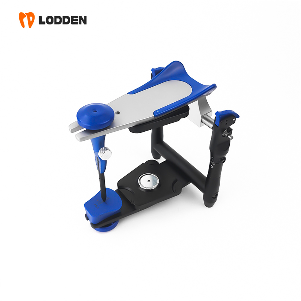 LODDEN BN Value Articulator Mi - Medical Lab Values review and price